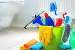 Messie Reinigung Detmold